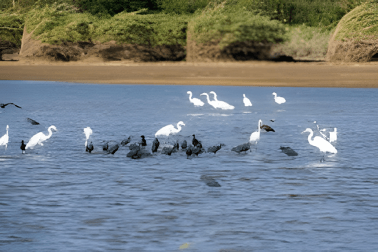 Ambohimahatsinjo / Mananjary / Manakara