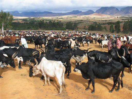 Ambositra - Antananarivo